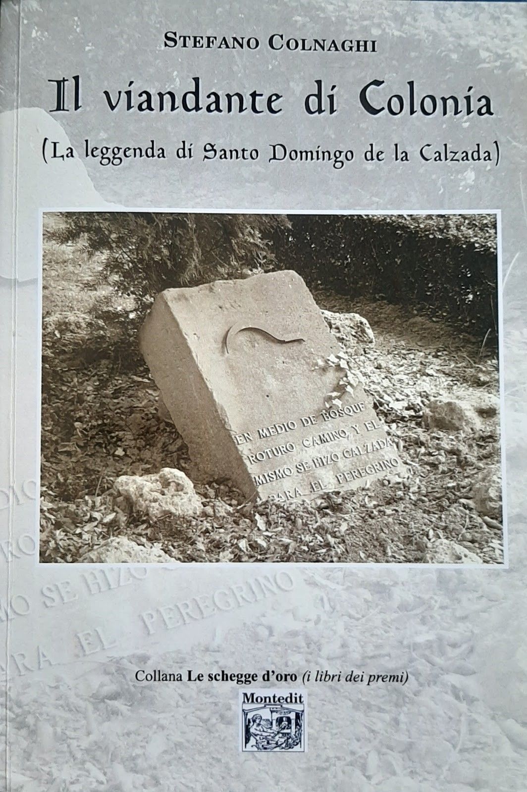 STEFANO COLNAGHI Il viandante di colonia